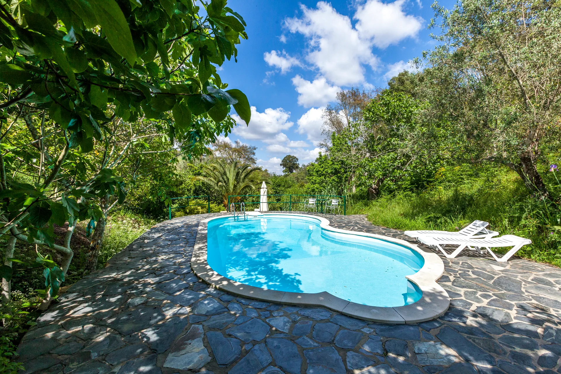 The saltwater pool in the valley at Monte Maravilhas, among olive and orange trees