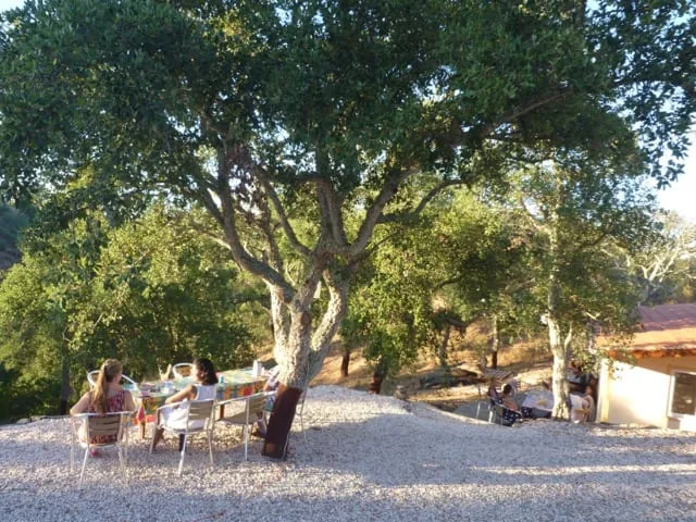 Guests at a table on the shared terrace under the cork oaks